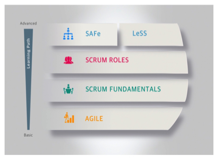 Four-Level Training Framework